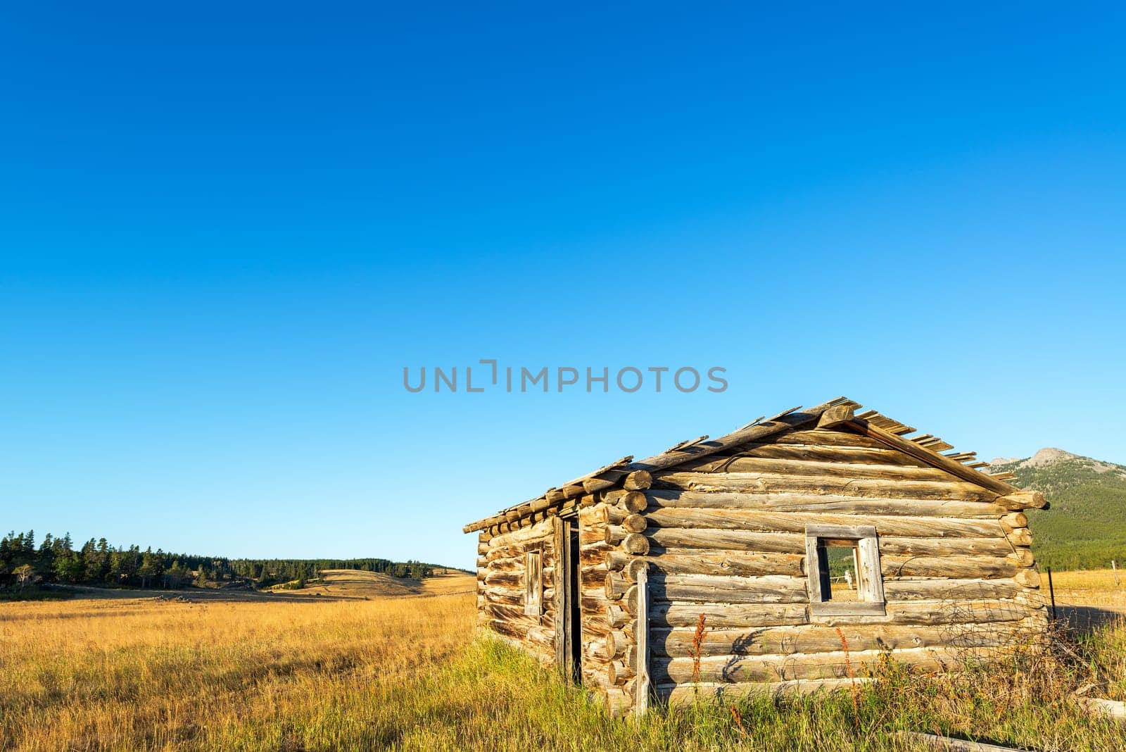 Abandoned homestead cabin in the Bighorn Mountains in Wyoming