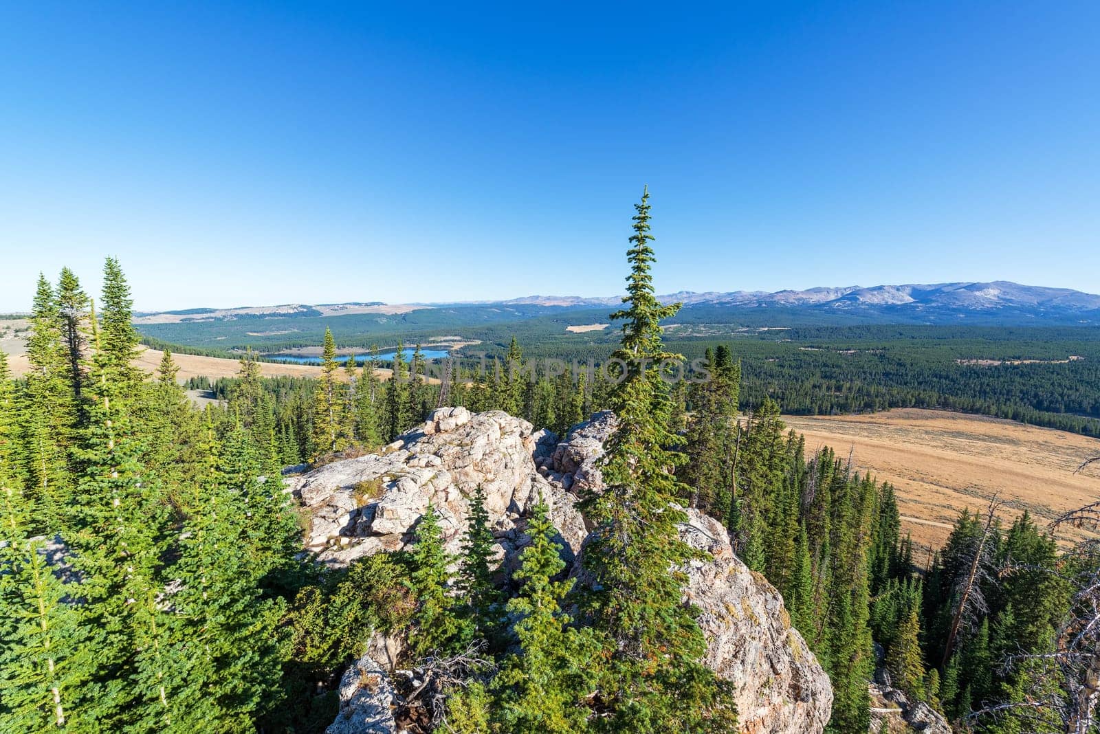 High Park Lookout view near the Bighorn Mountains in Wyoming