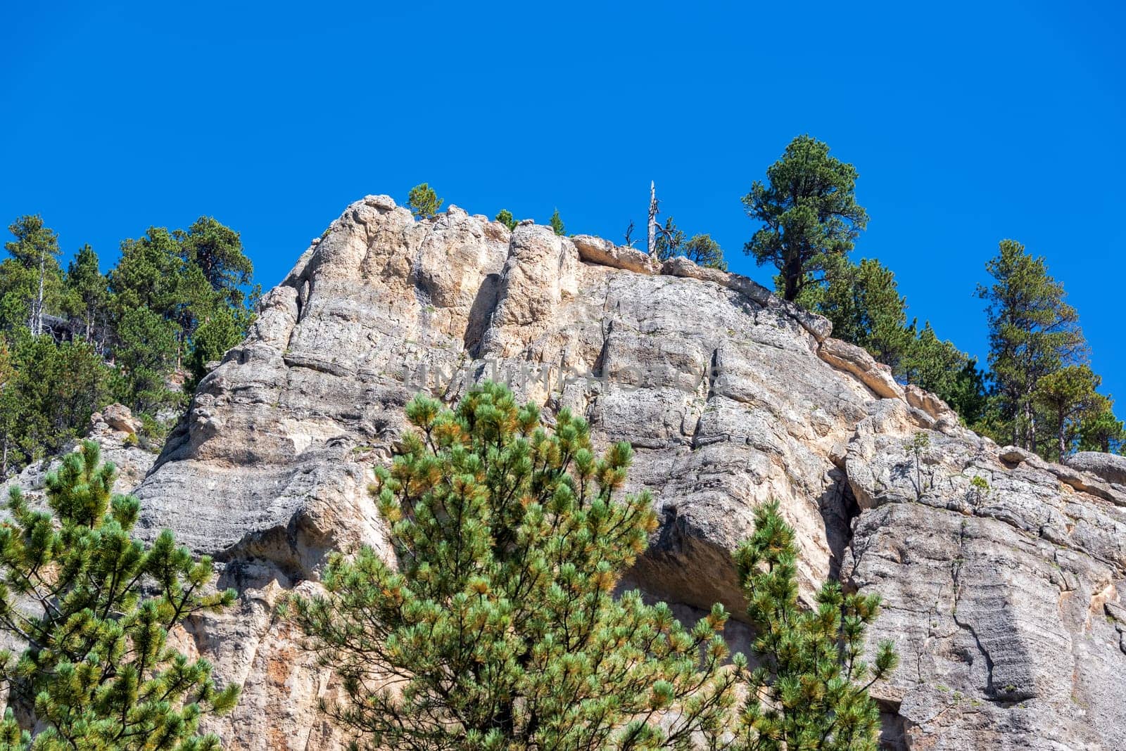 Cliff face view in South Piney Canyon near Story, Wyoming