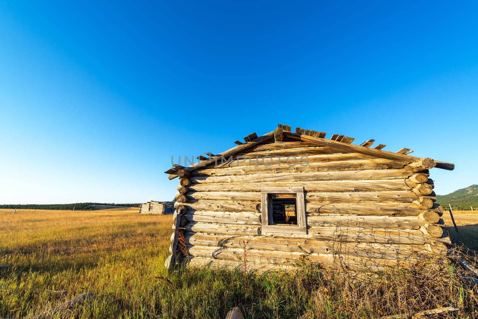 Abandoned log cabin in the Bighorn Mountains in Wyoming