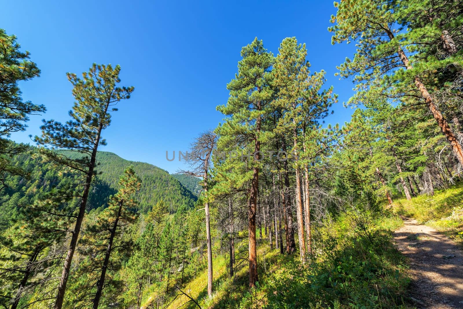 Hiking trail in South Piney Canyon near Story, Wyoming
