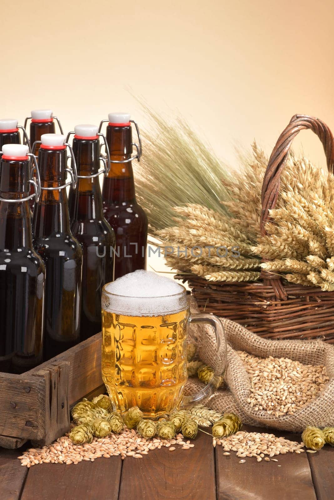 Beer box and beer glass with wheat,barley,hops and malt
