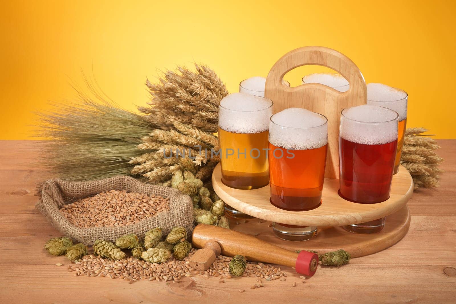 Beer carriers and beer glasses with wheat,barley,hops and malt