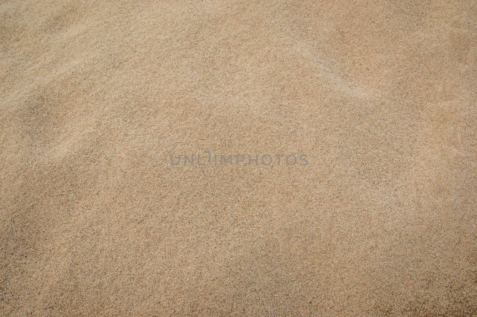 Sand texture for background. Top view