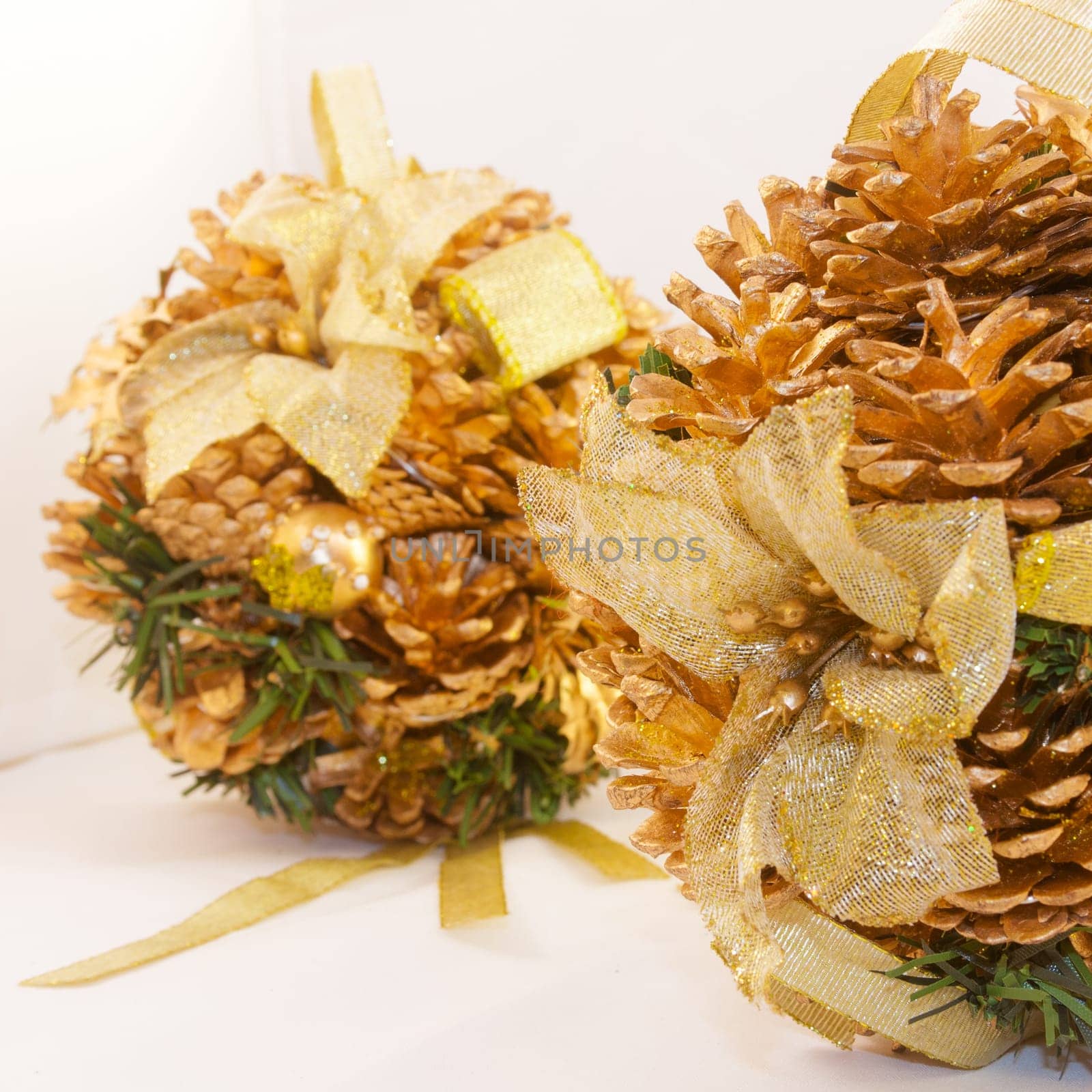 winter pinecones brilliant