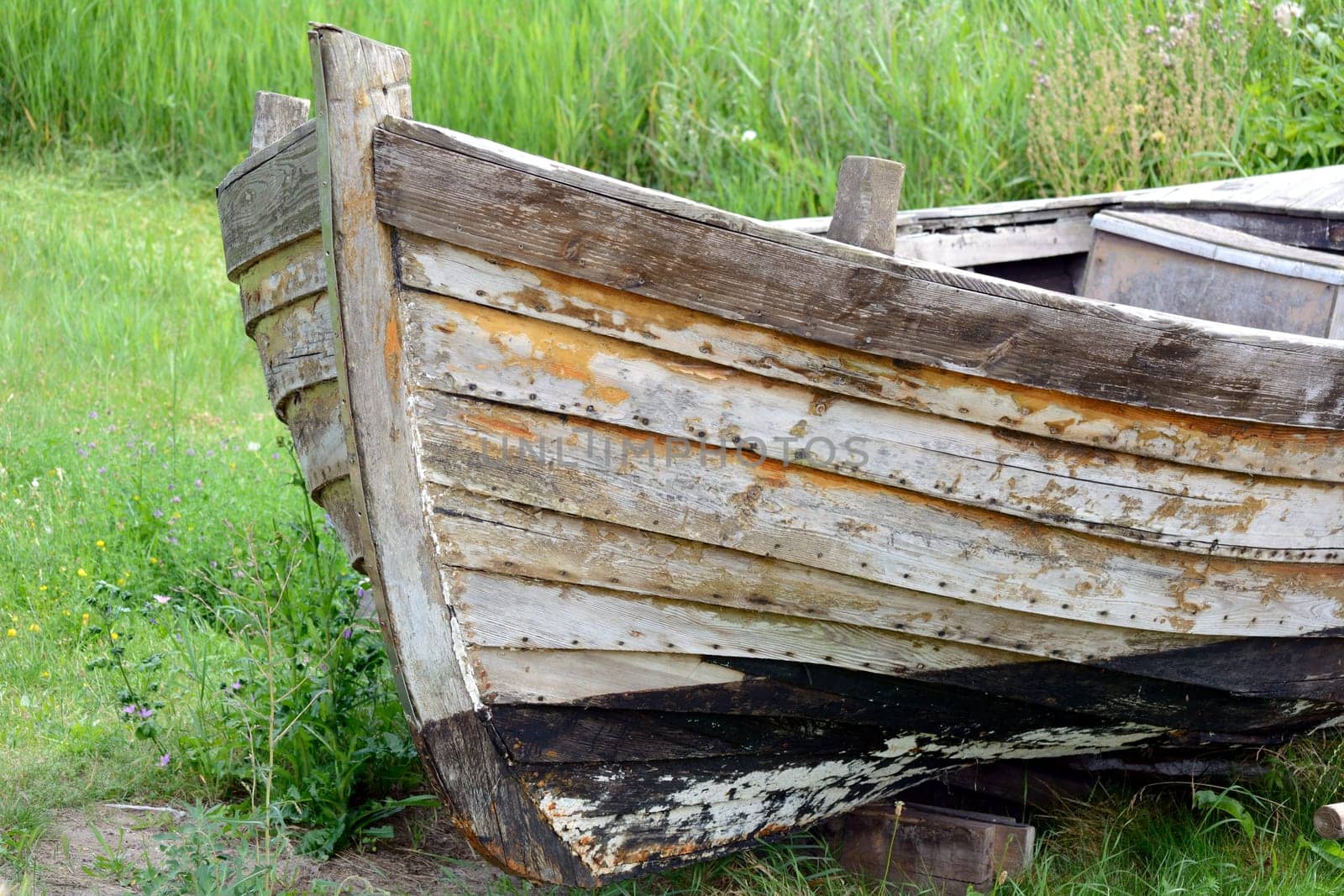 Old rotten boat