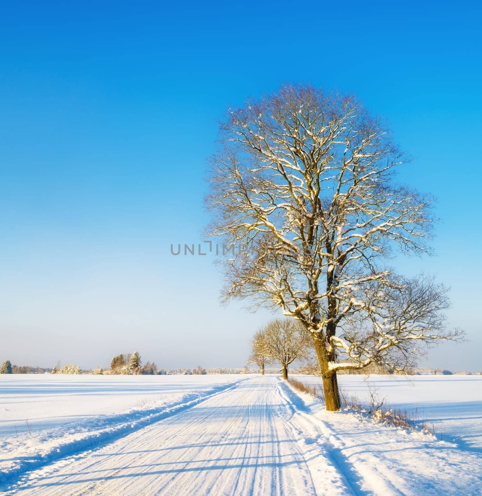 Winter road in the countryside, a beautiful winter day