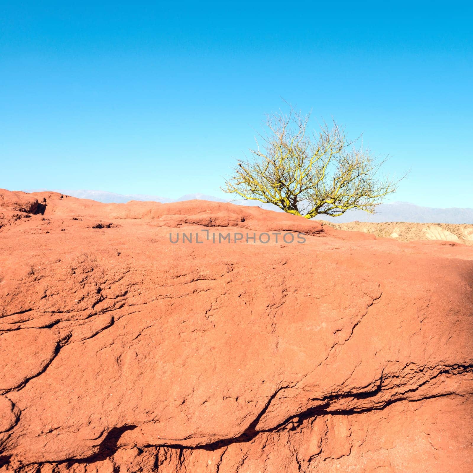 Quebrada de Cafayate, Salta, Argentina