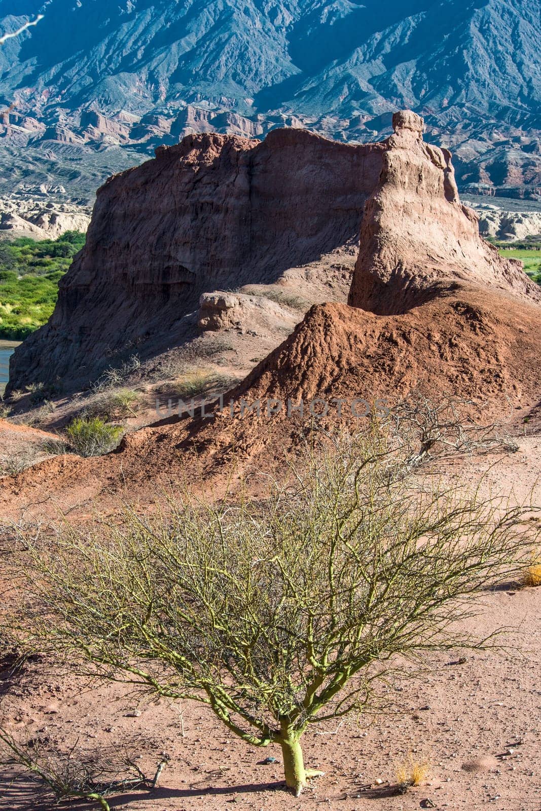 Quebrada de Cafayate, Salta, Argentina