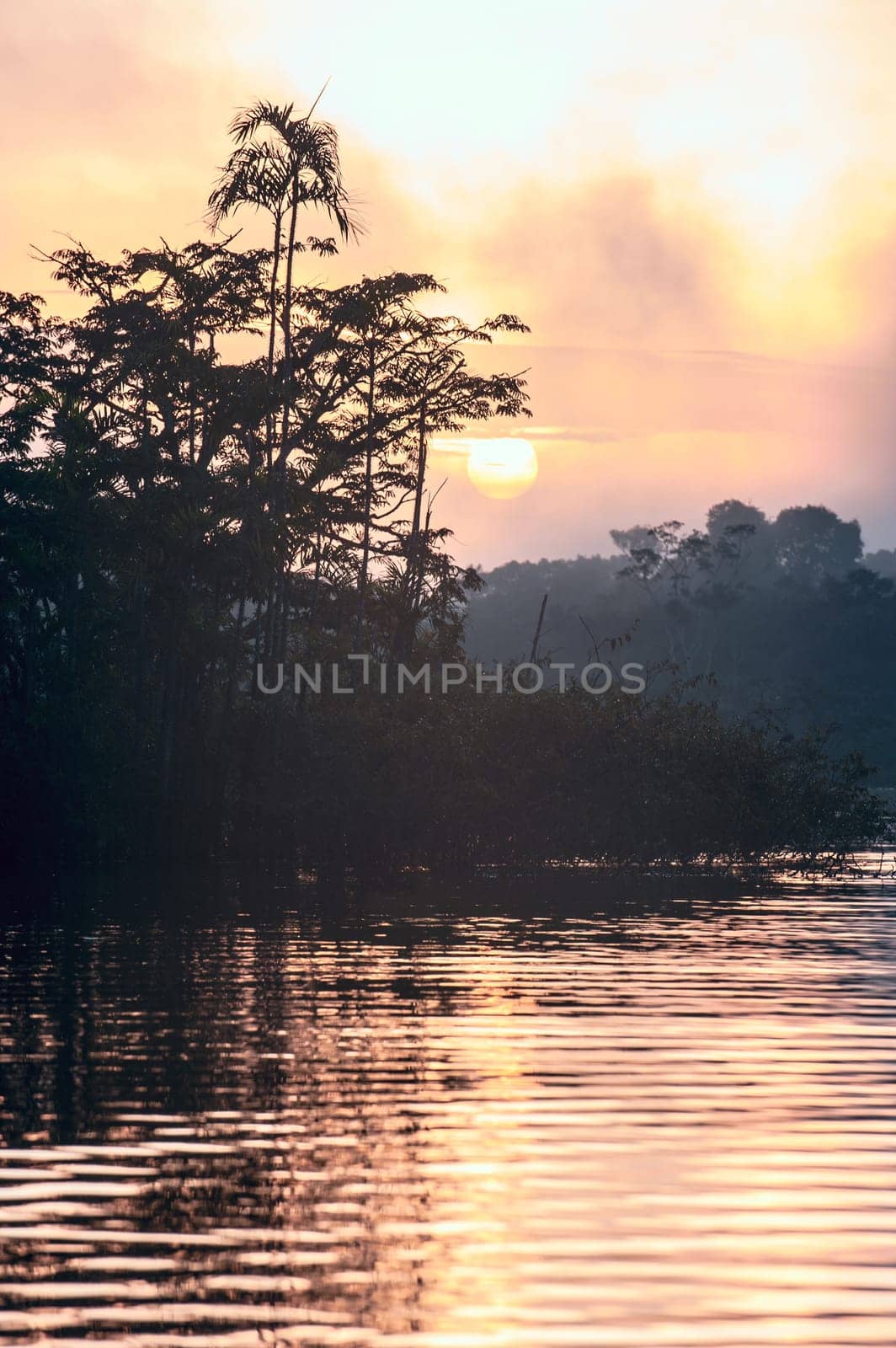 Early morning in Amazonian rainforest. Lake Cuyabeno Laguna Grande. Ecuador
