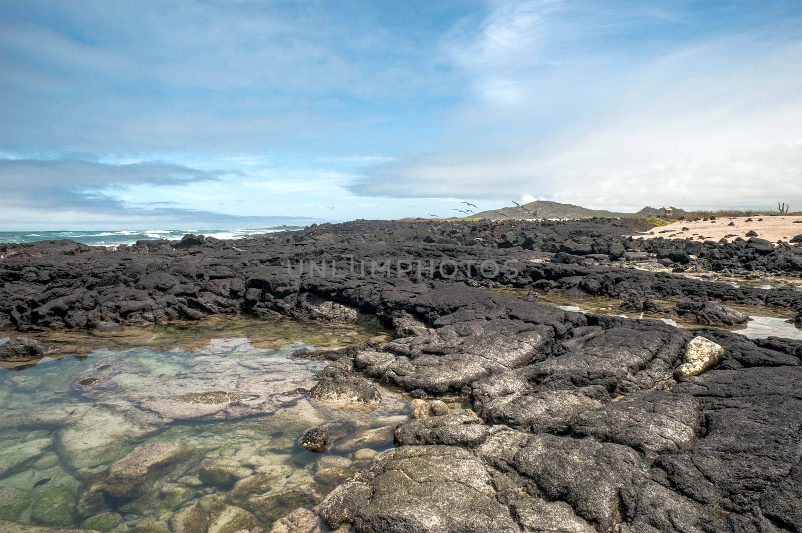 Beautiful landscape of Isabela Island, is the largest island of the Galapagos Islands, Ecuador