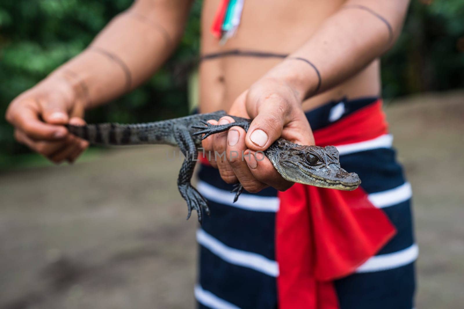 Indian man Los Tsachila tribe and his pet - cayman, Ecuador