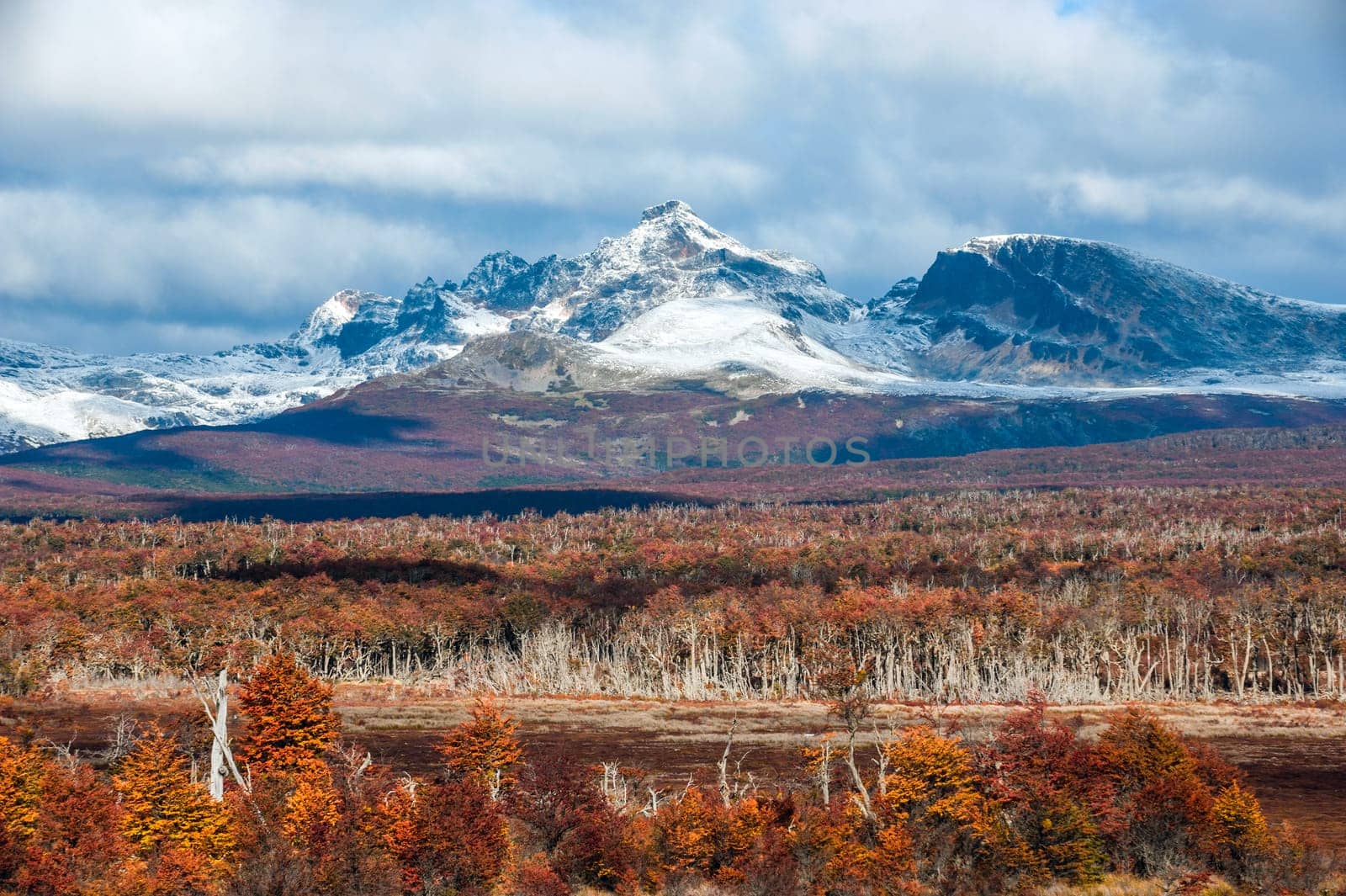 Autumn in Patagonia. Cordillera Darwin, part of Andes range, Isla Grande de Tierra del Fuego, Chilean territory, view from the Argentina side