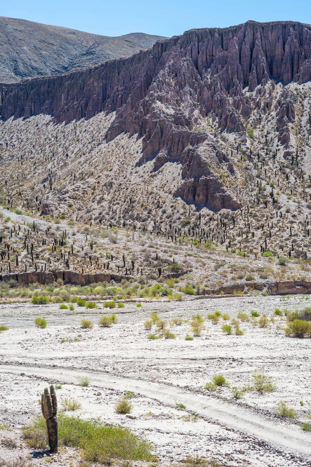 Valley of Quebrada de Humahuaca, central Andes Altiplano, Argentina