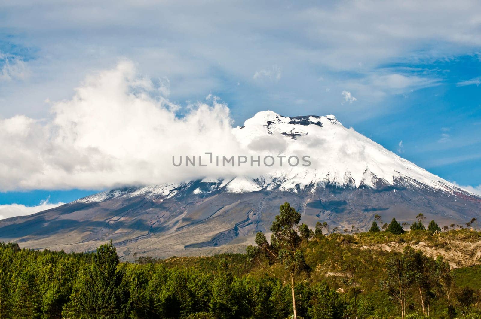 Cotopaxi volcano over the plateau, Andean Highlands of Ecuador, South America