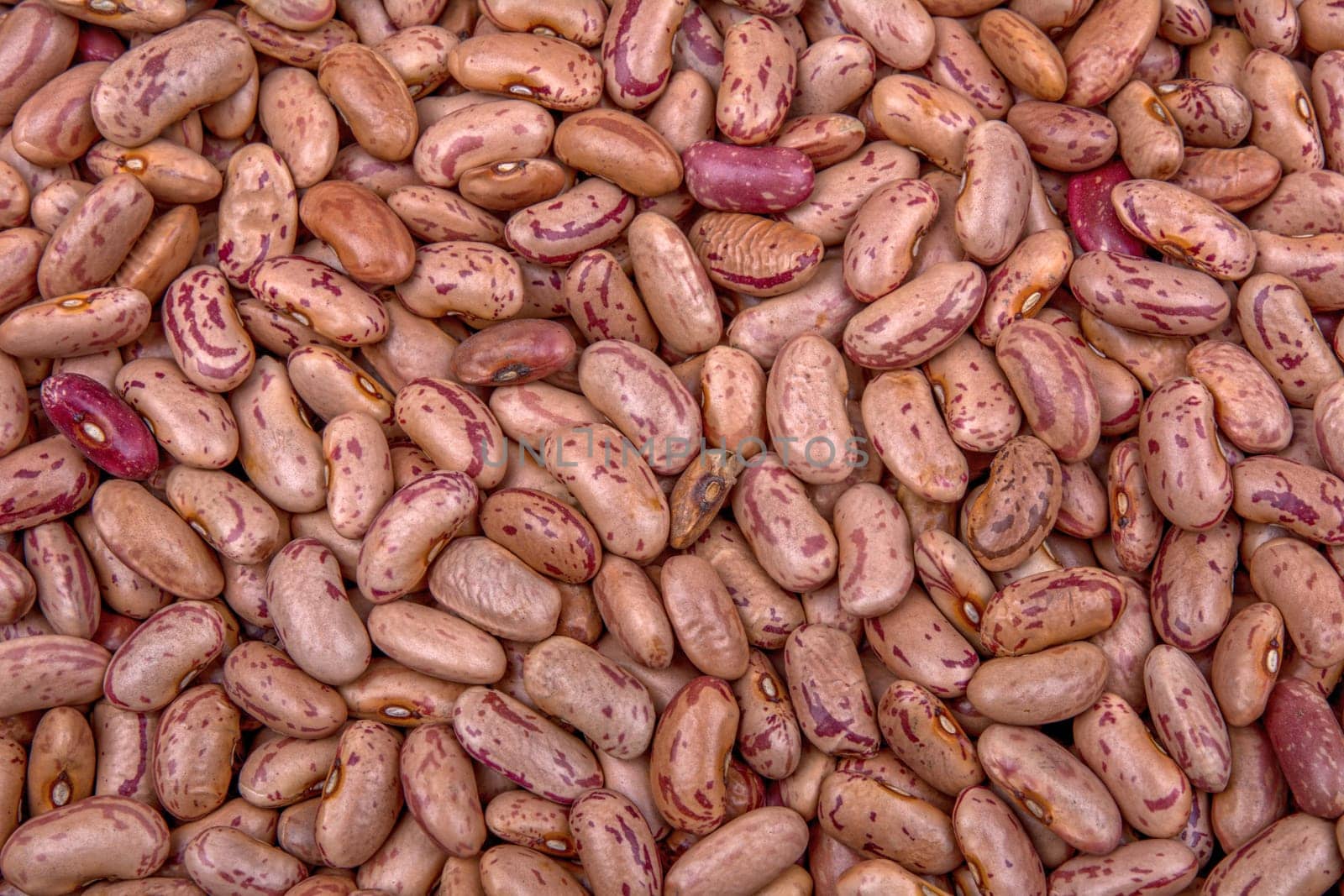 Kidney beans as a beautiful creative background