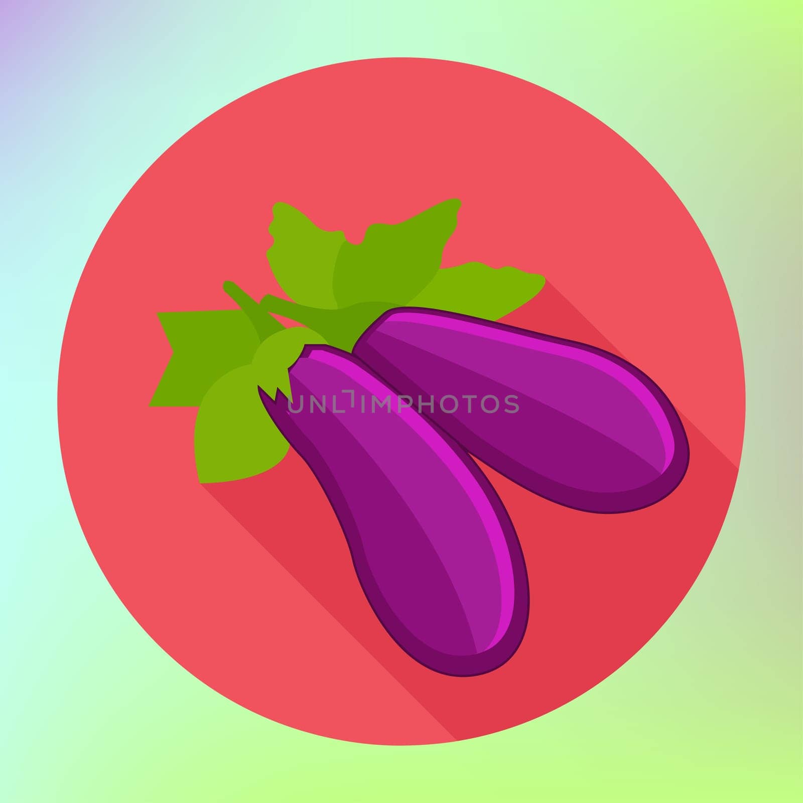 brinjal flat icon. Eggplant icon. aubergine icon vector. Eggplant icon simple. Eggplant icon app. guinea squash icon web. Ripe fresh eggplant or aubergine flat pictogram long shadow style.