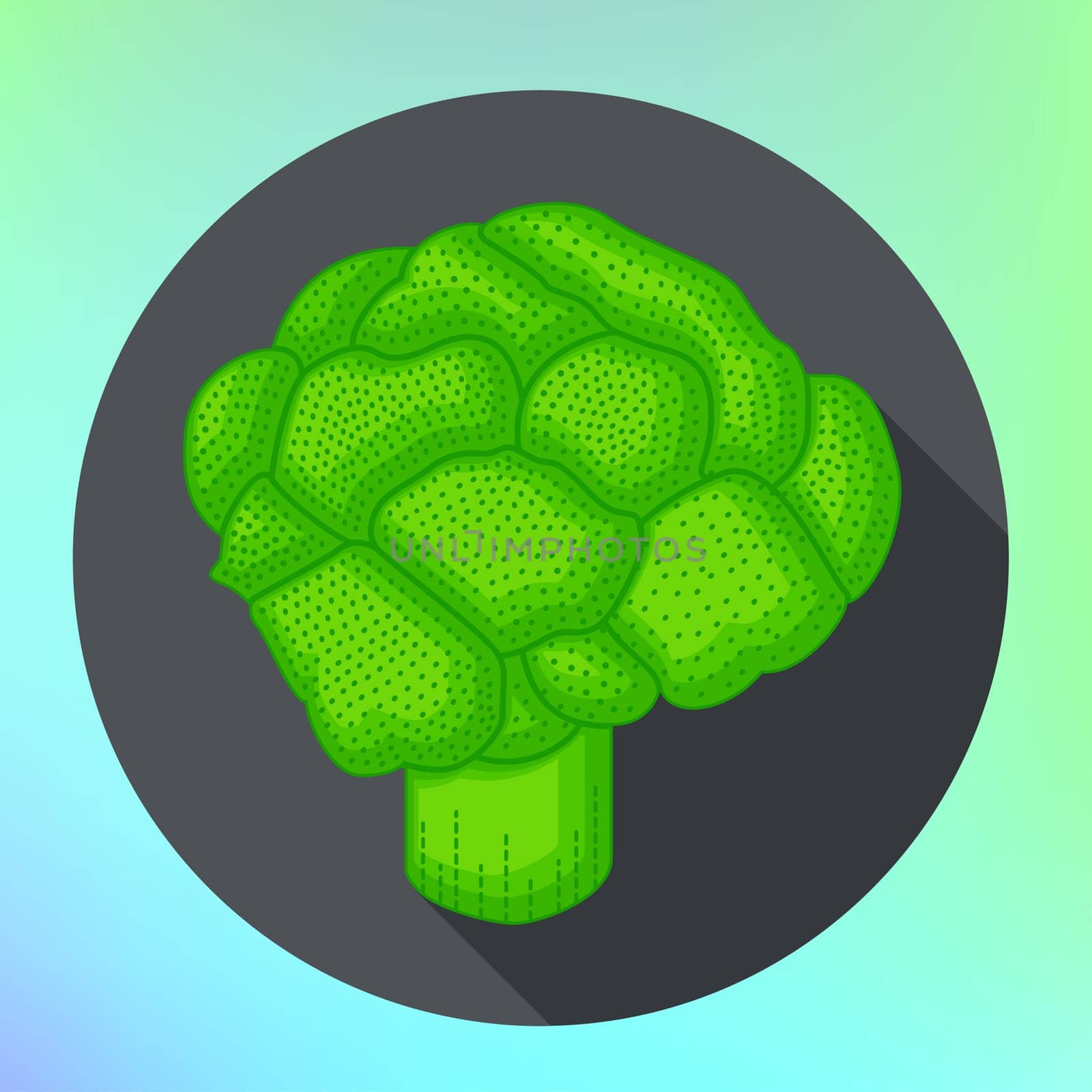 Broccoli flat style pictogram. Food Icon for web and mobile application. Brocoli vector illustration on a white background. Flat design style. Broccoli vector icon in flat style. Isolated object.