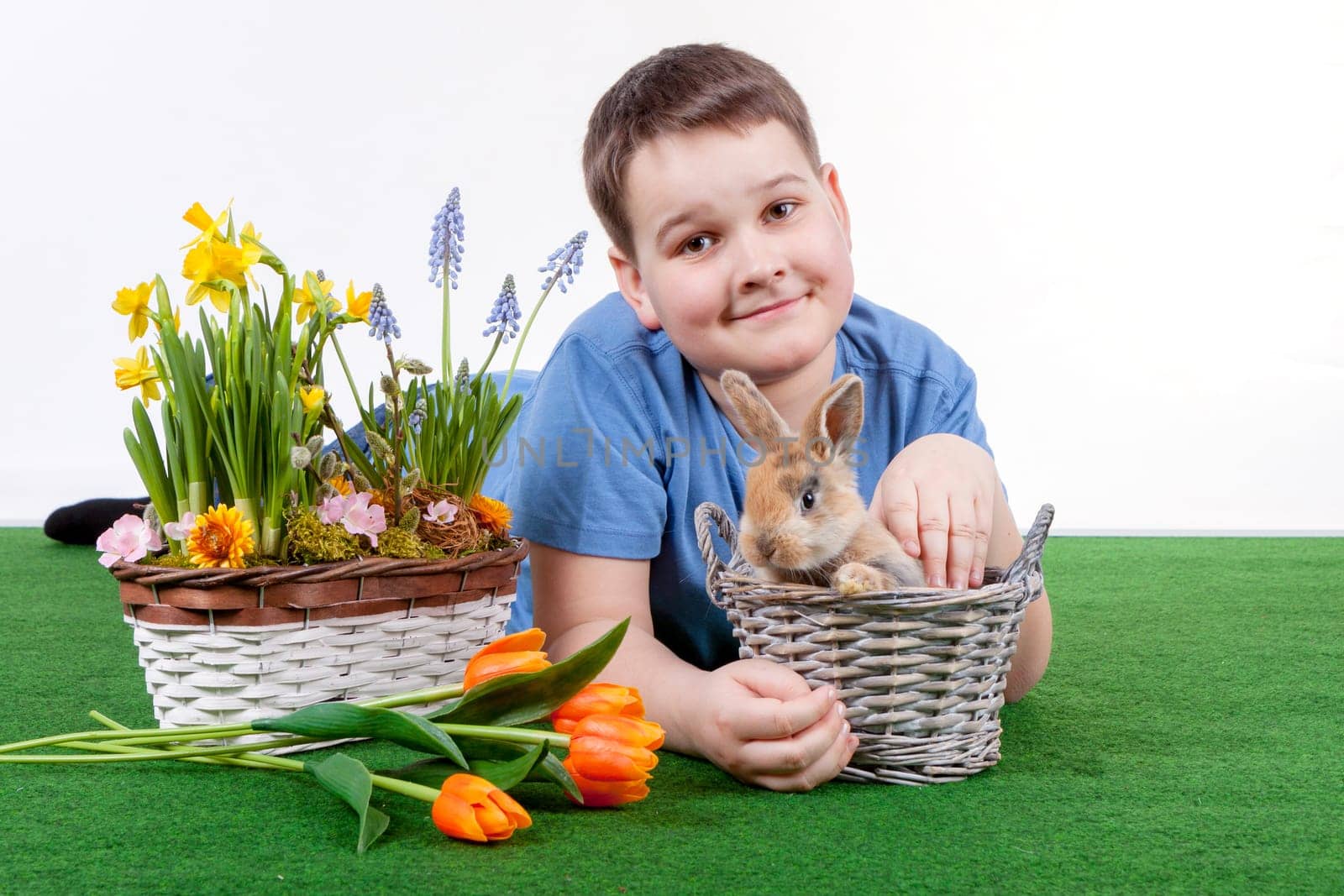 Young boy with colorful rabbit and spring flower on white background.