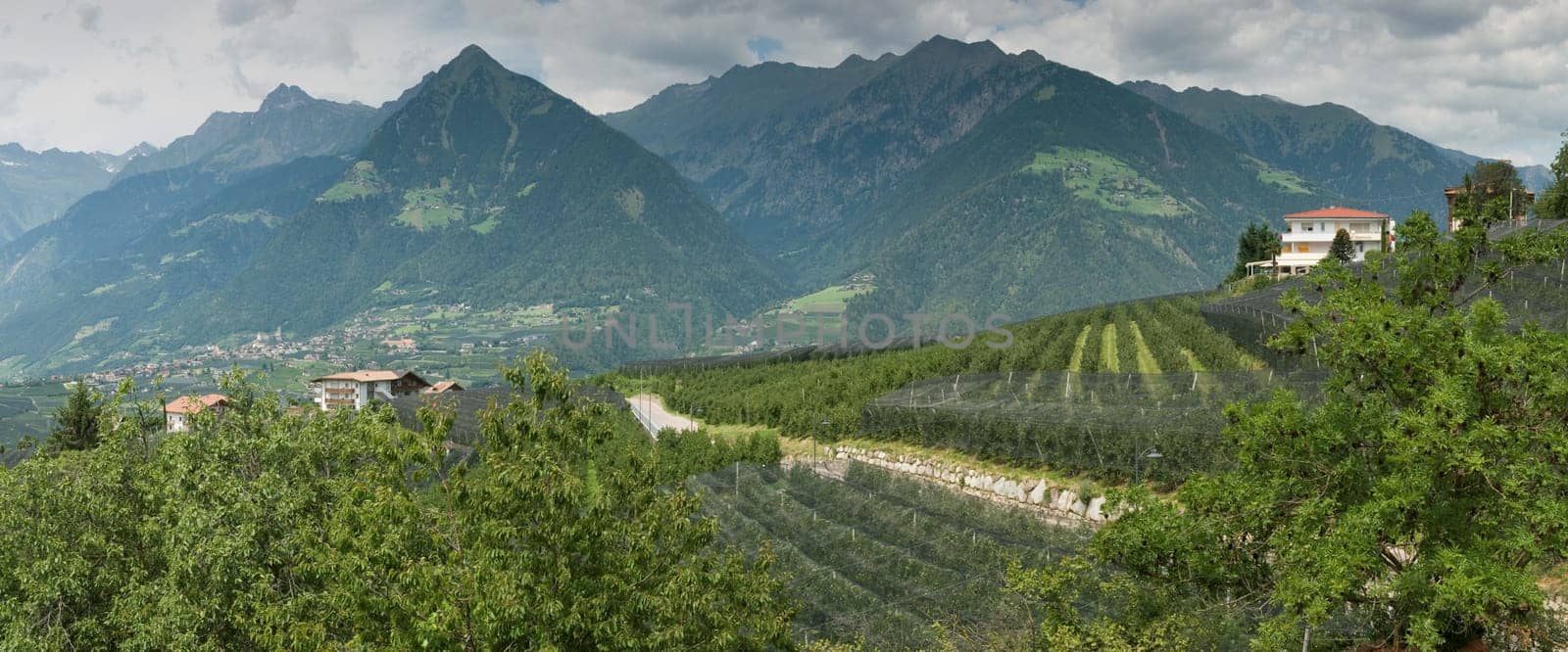 Panaorama view of the village of Tyrol in South Tyrol with mountains of the Texel Group behind it in cloudy skies