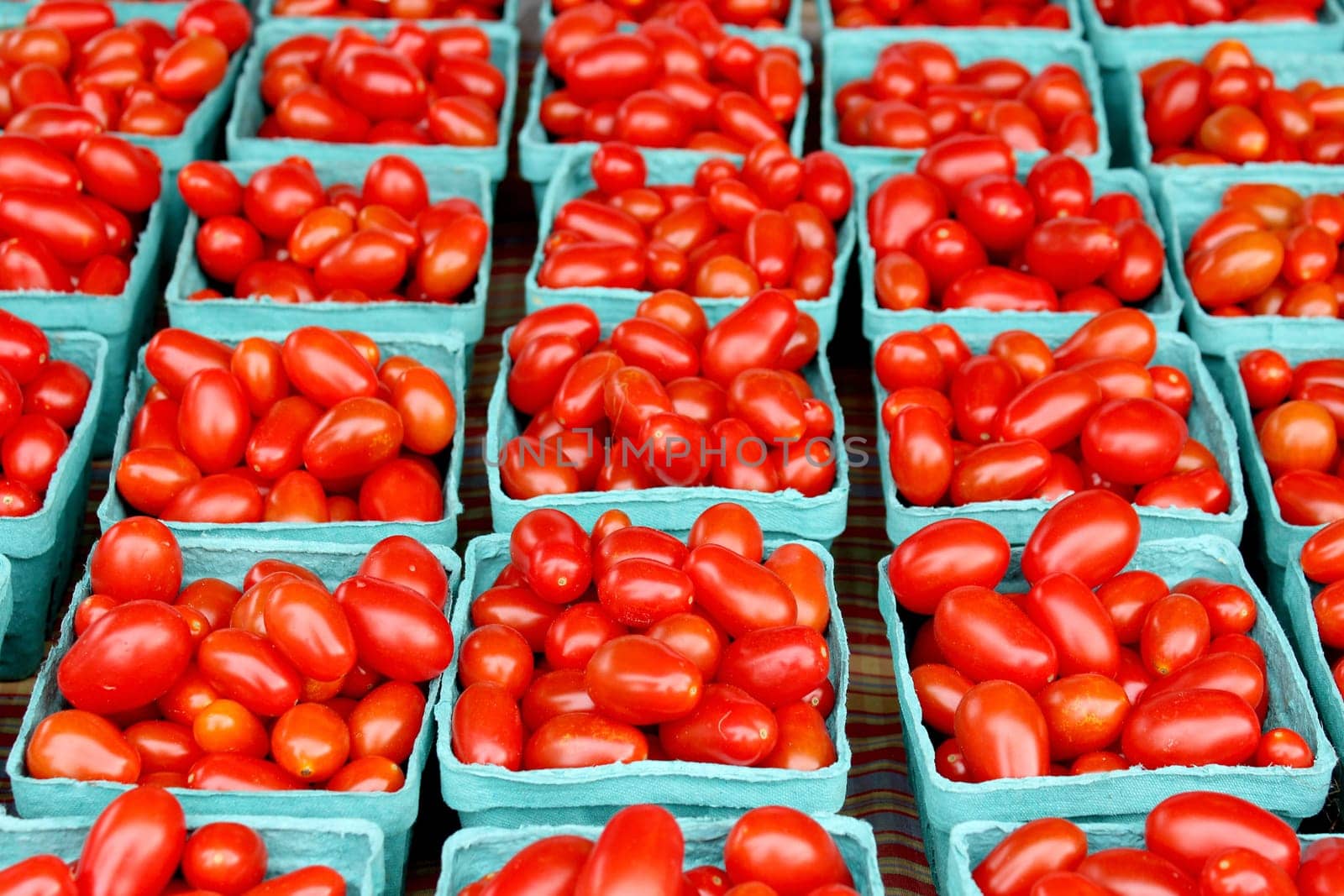 Fresh organic cherry tomatoes background, photo taken at local farmers market, in New York City.