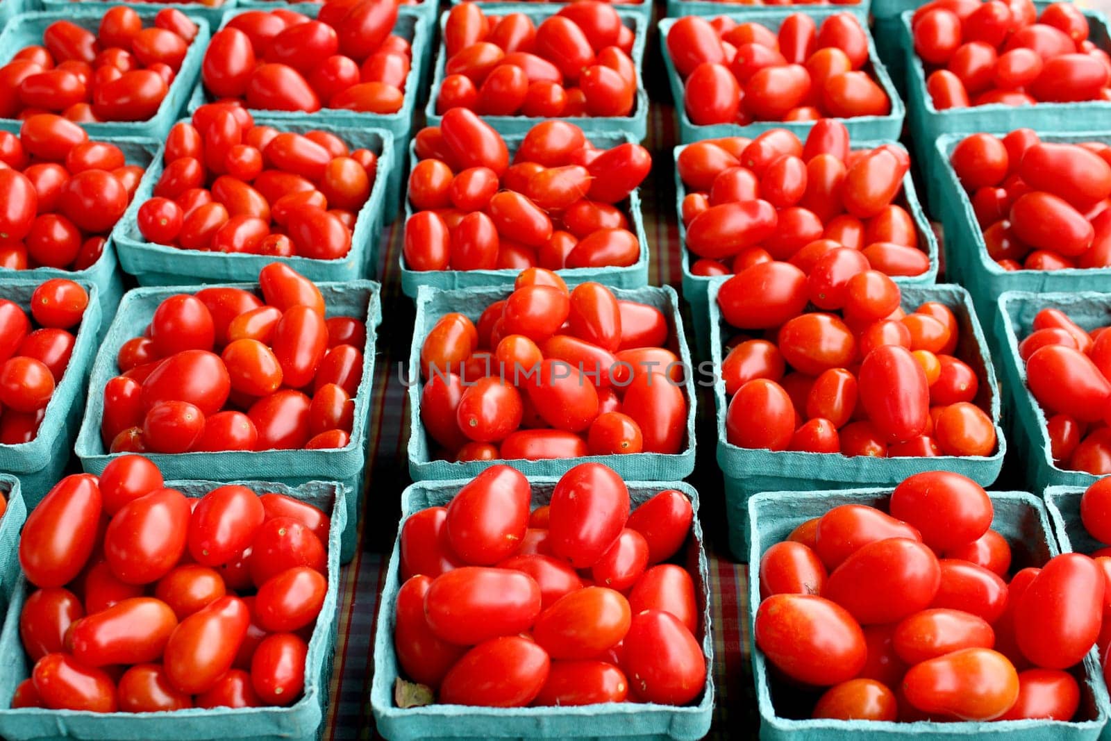 Fresh organic cherry tomatoes background, photo taken at local farmers market, in New York City.