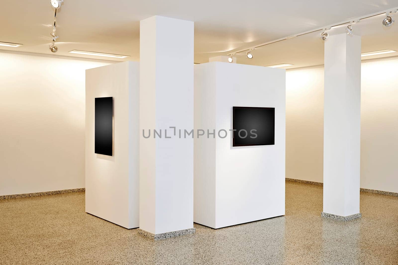 exhibition gallery, wall mounted art with museum style lighting, the art has been removed and replaced. There are path for the frame