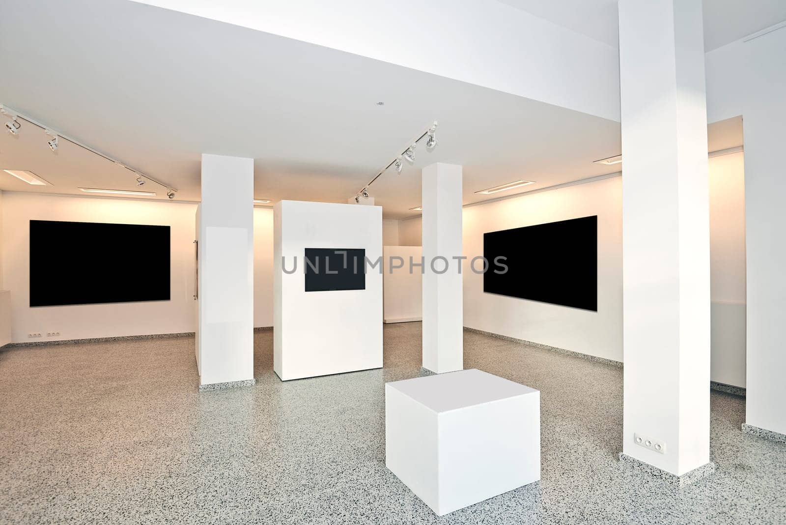 exhibition gallery, wall mounted art with museum style lighting, the art has been removed and replaced. There are path for the frame