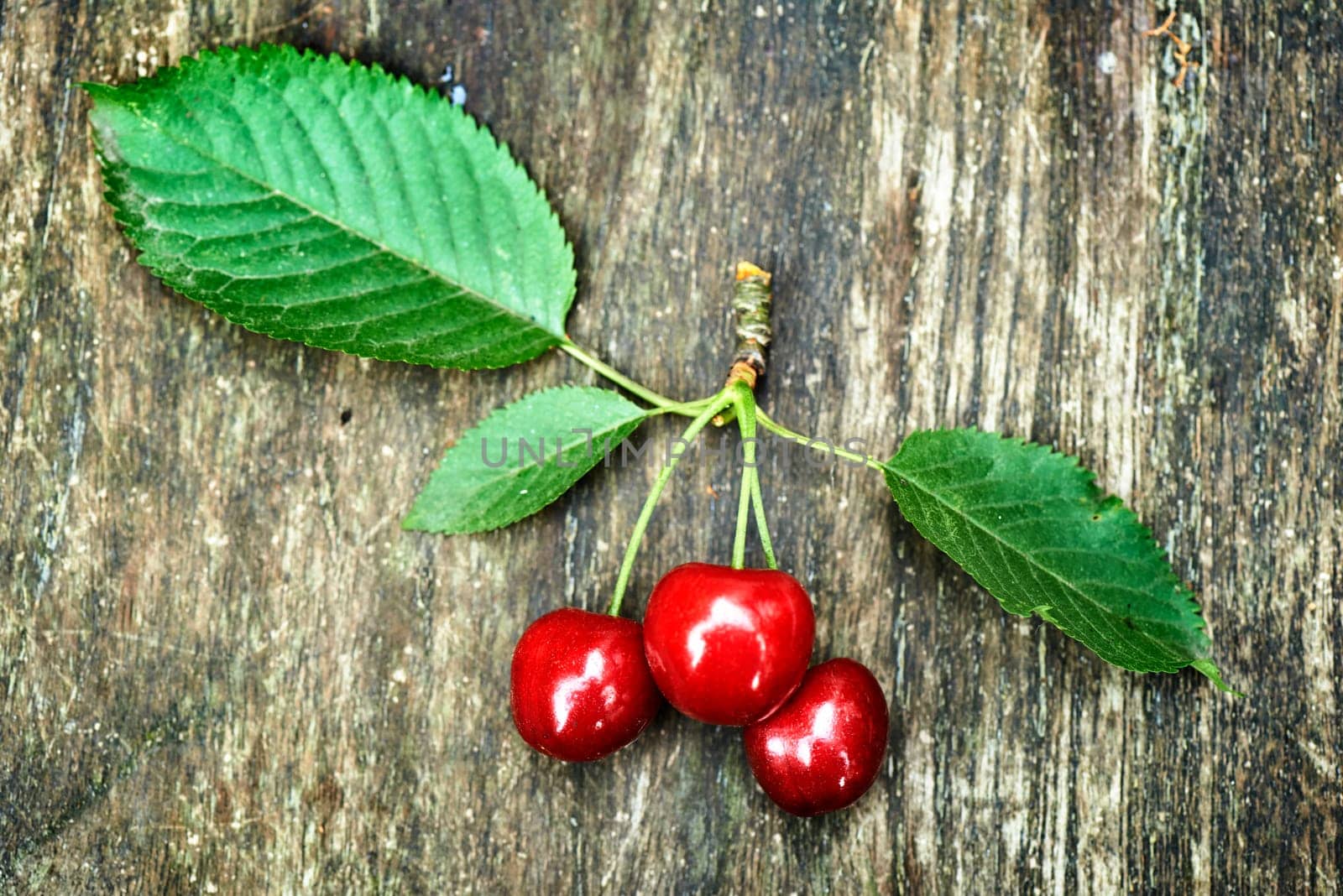 Fresh Cherries just picked and posed on a wooden table