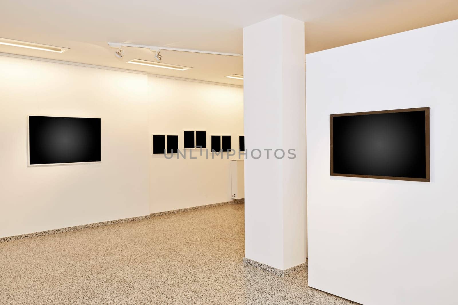 exhibition gallery, wall mounted art with museum style lighting, the art has been removed and replaced. There are path for the frame