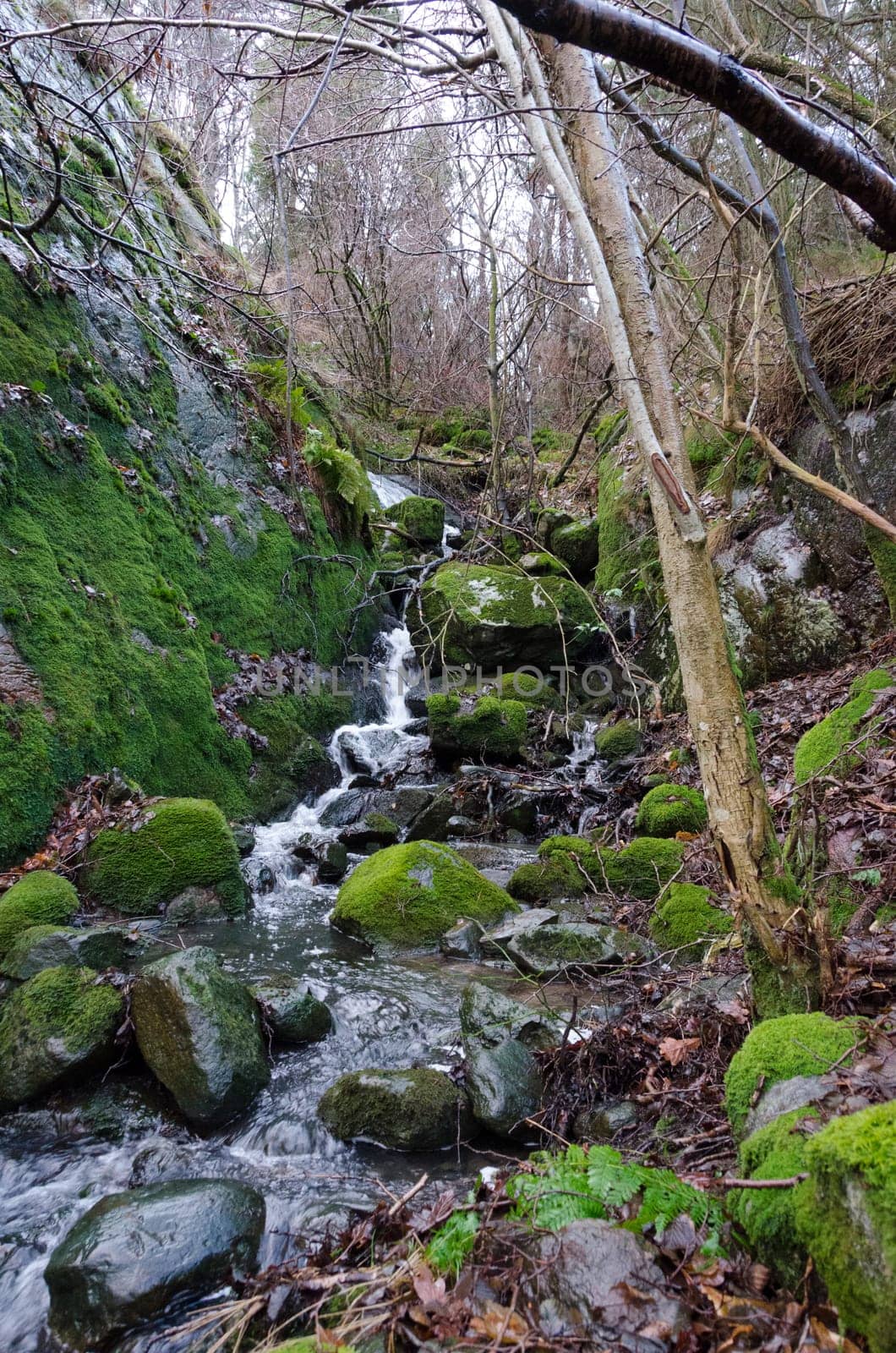 one little waterfall in the forrest and the water is streamingdown