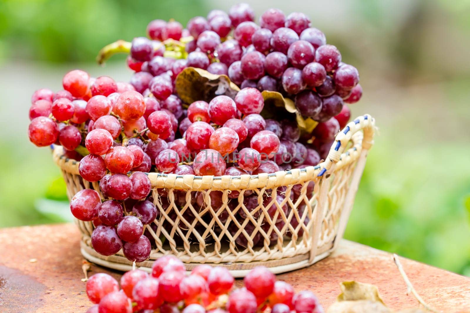 Red grape fruits in the basket
