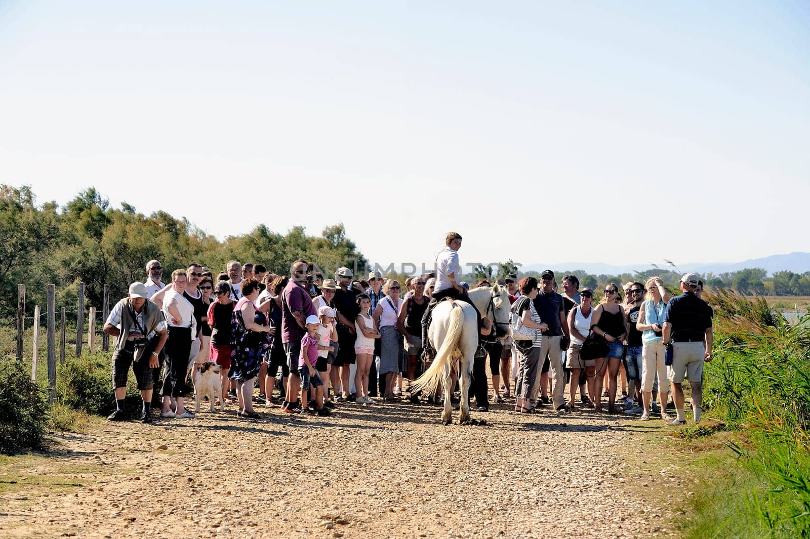 Gardian young woman welcoming tourists for a demonstration with bulls of the Camargue local tradition of working with cattle.