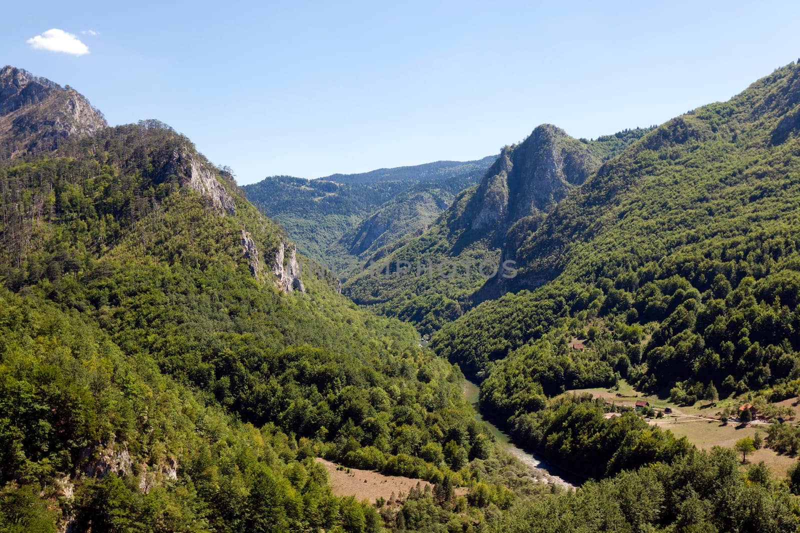 the mountains covered with various trees, other plants. Montenegro