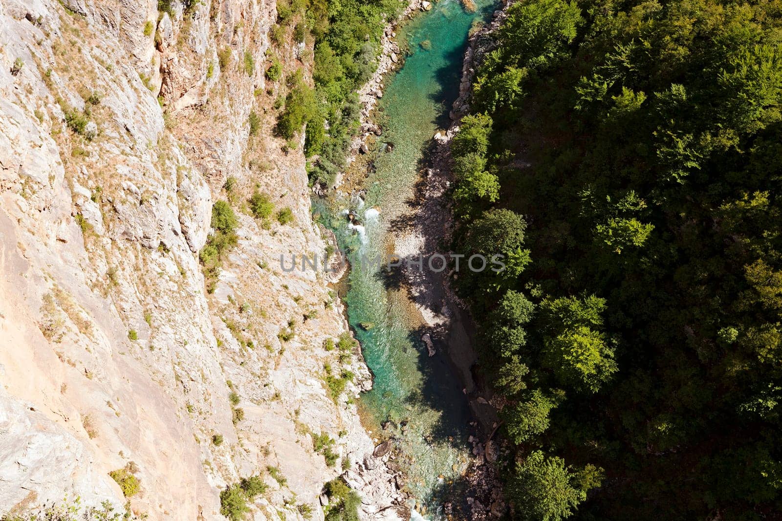 the mountains covered with various trees, other plants. Montenegro