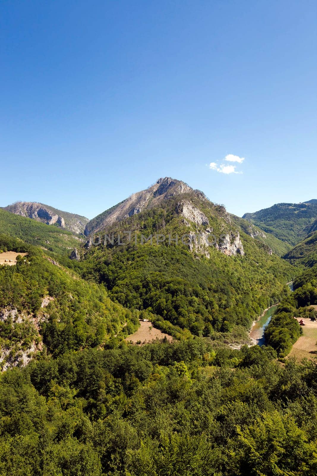 the mountains covered with various trees, other plants. Montenegro