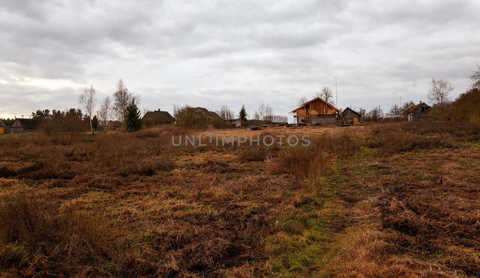 the dried grass in an autumn season. cloudy weather
