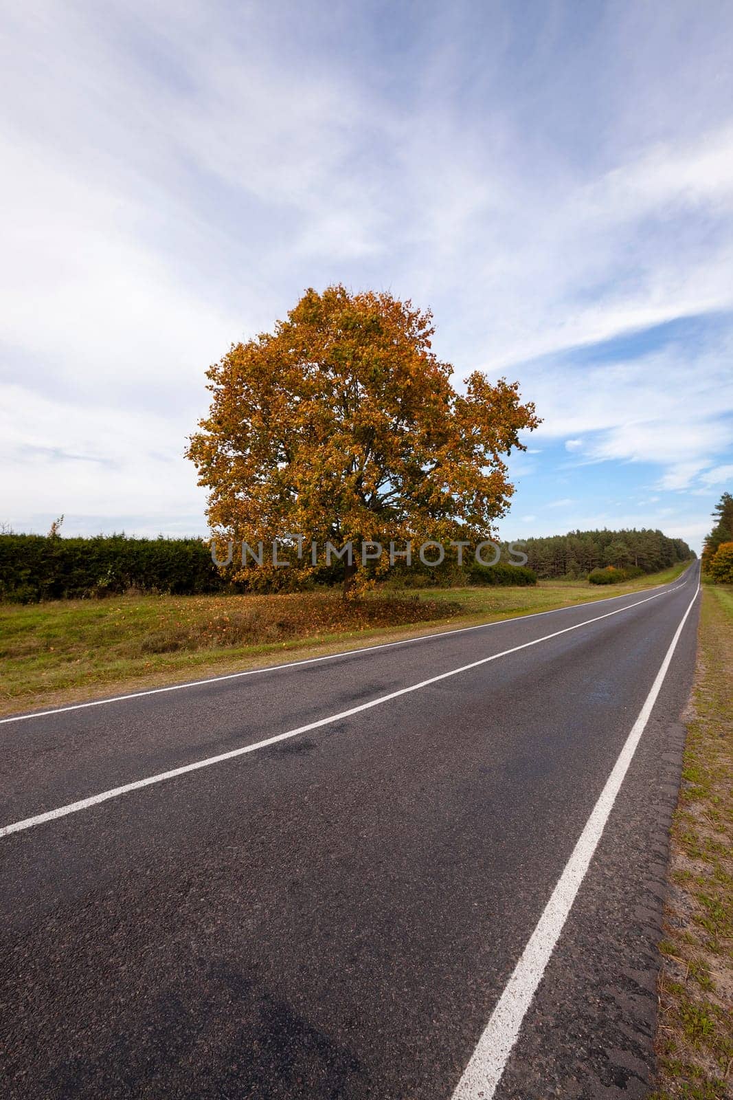 the small asphalted road to an autumn season
