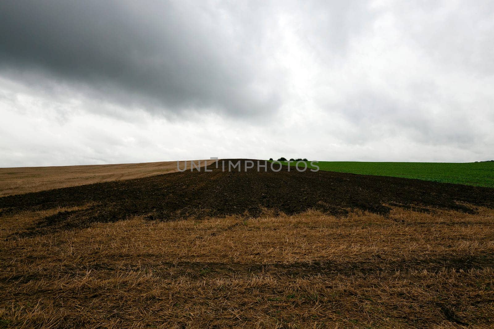 an agricultural field which starts being prepared for a new season. the plowed field. fall