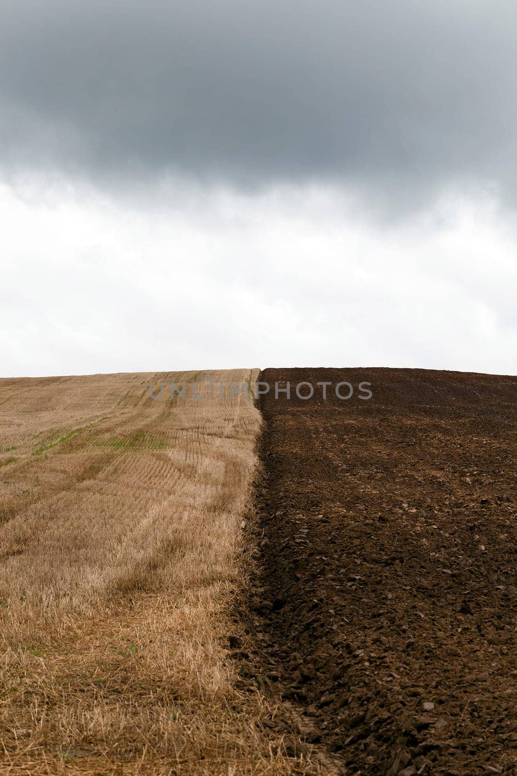 an agricultural field which starts being prepared for a new season. the plowed field. fall