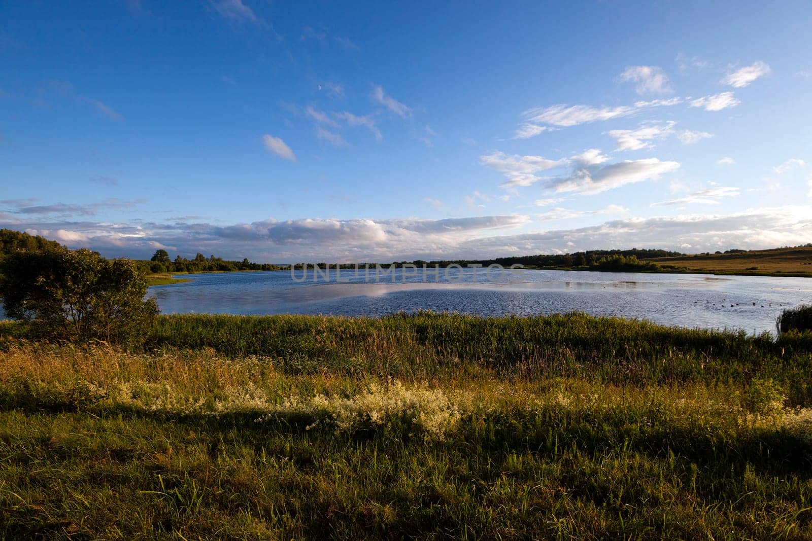 Photo of Lake in the territory of the Republic of Belarus. Summer. Blue sky.