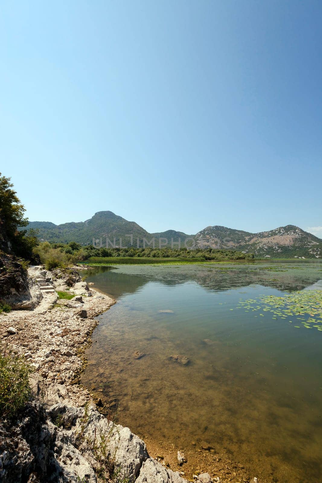 Lake Skadar located in Montenegro in summertime of year
