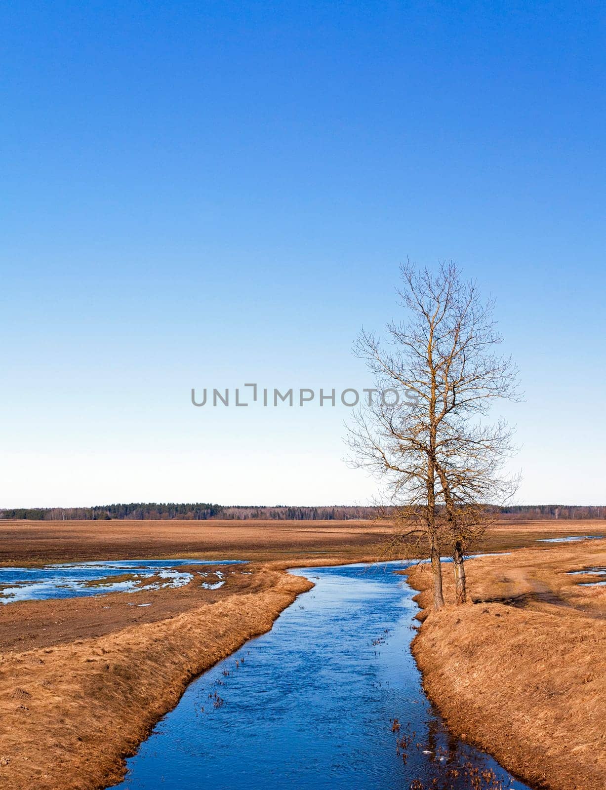 small river in the field - shore grows lonely tree. Autumn.