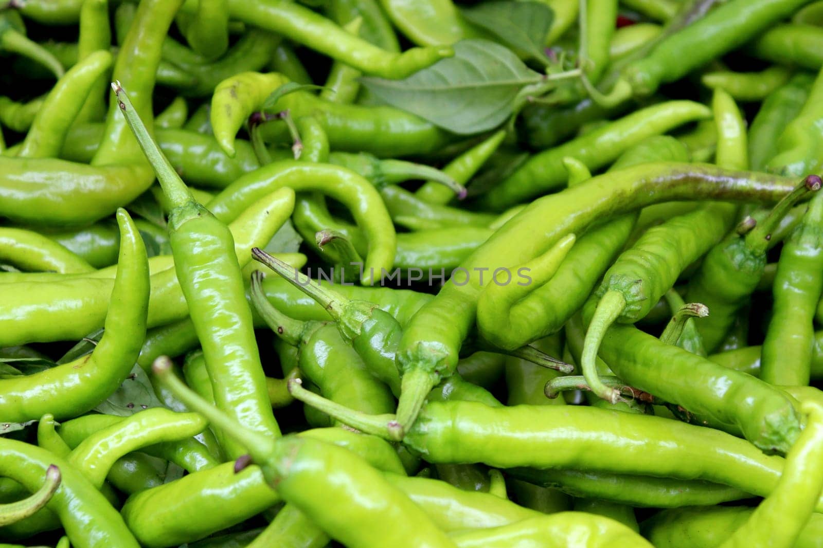 Fresh organic pepper background, photo taken at local farmers market, in New York City