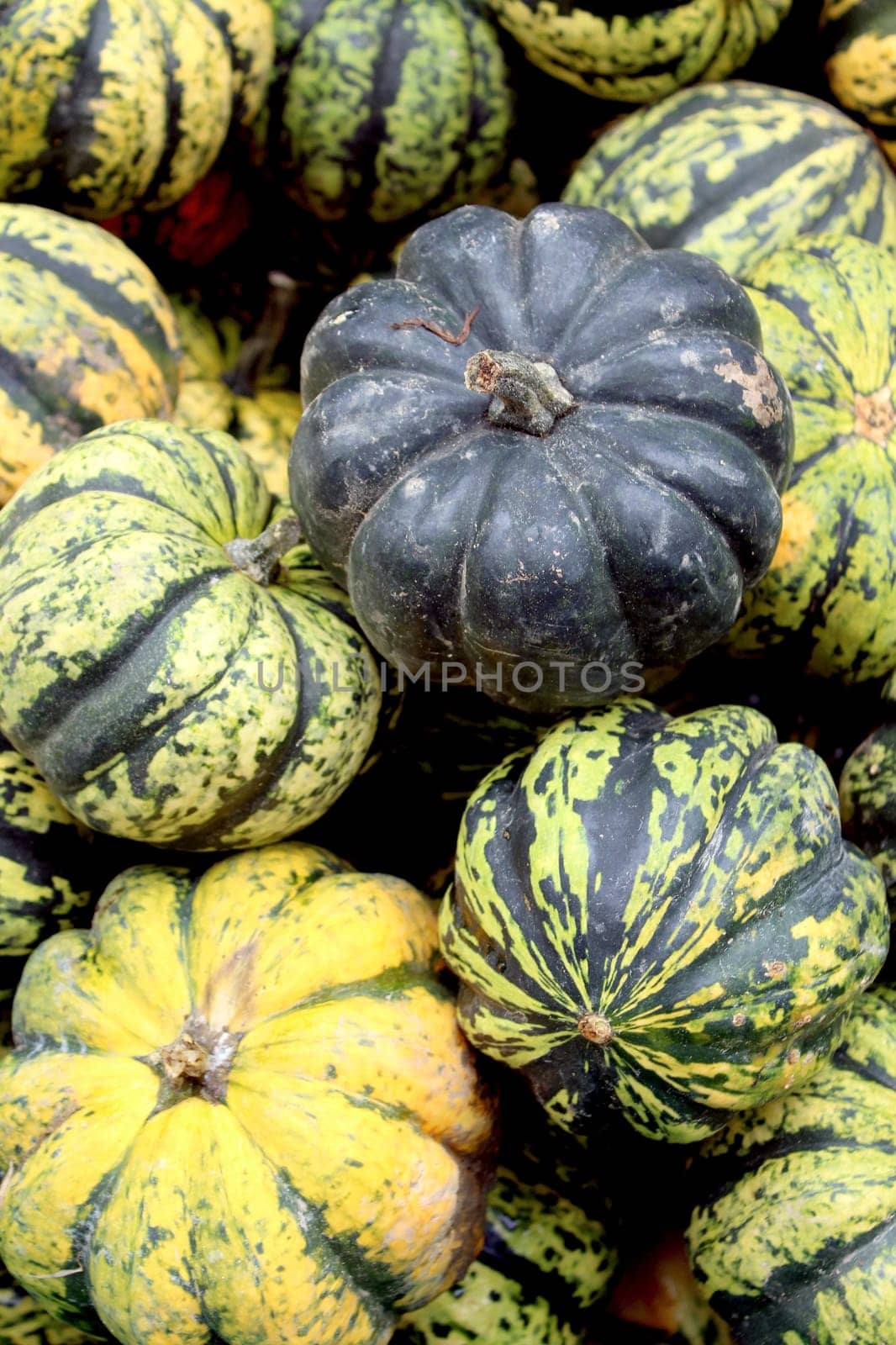 Fresh organic pumpkin background, photo taken at local farmers market, in New York City.