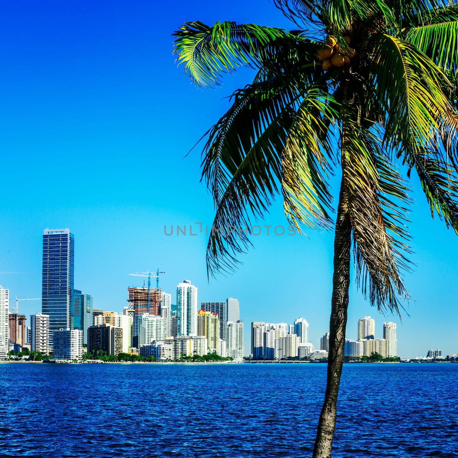Miami Downtown skyline in daytime with Biscayne Bay.