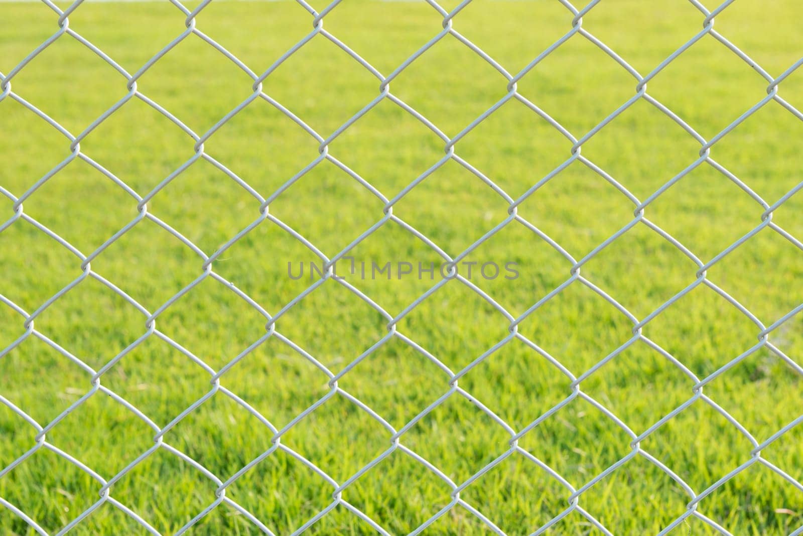 wire mesh steel with green grass background