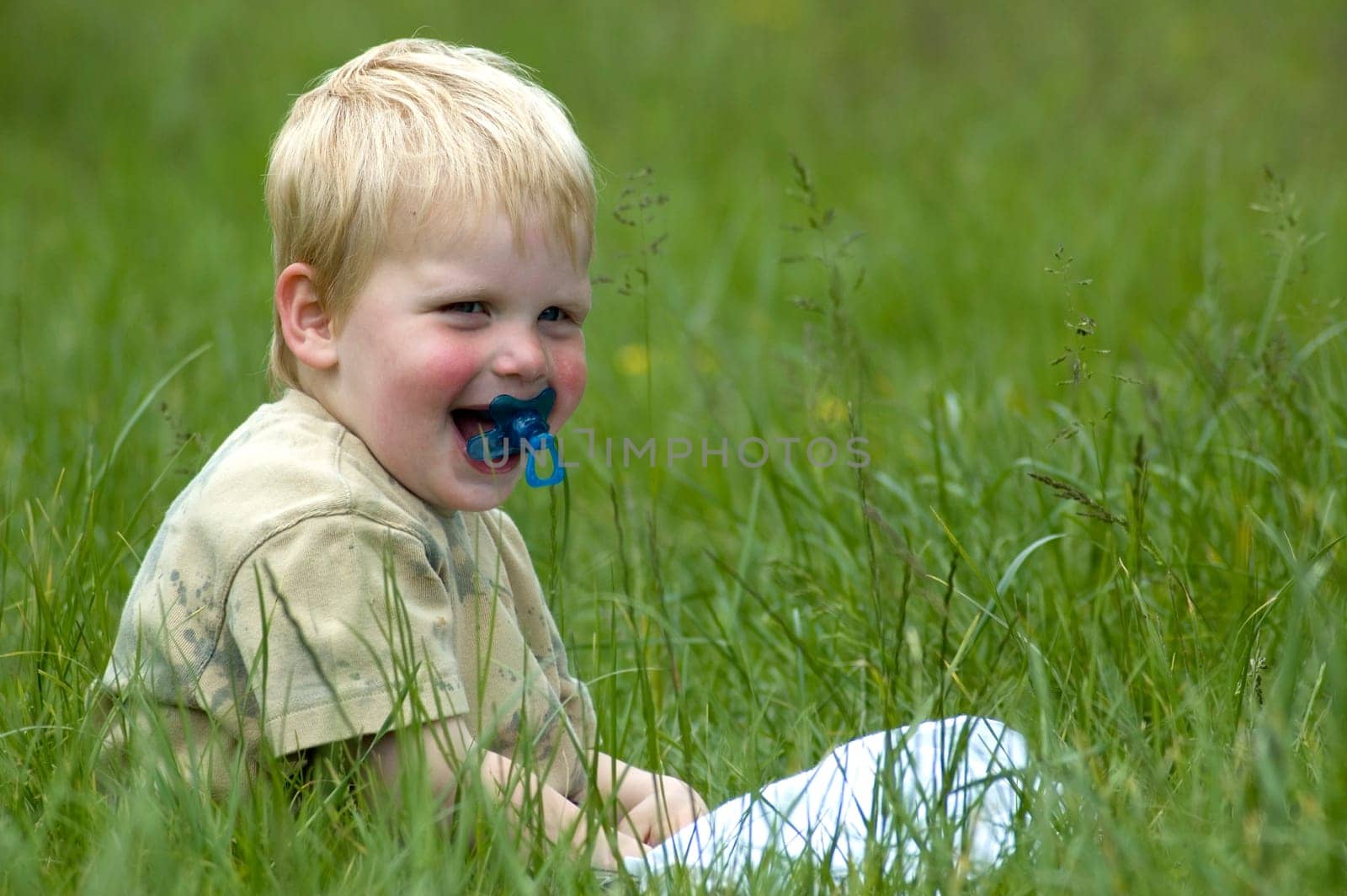 A 2 year old sitting in the grass.