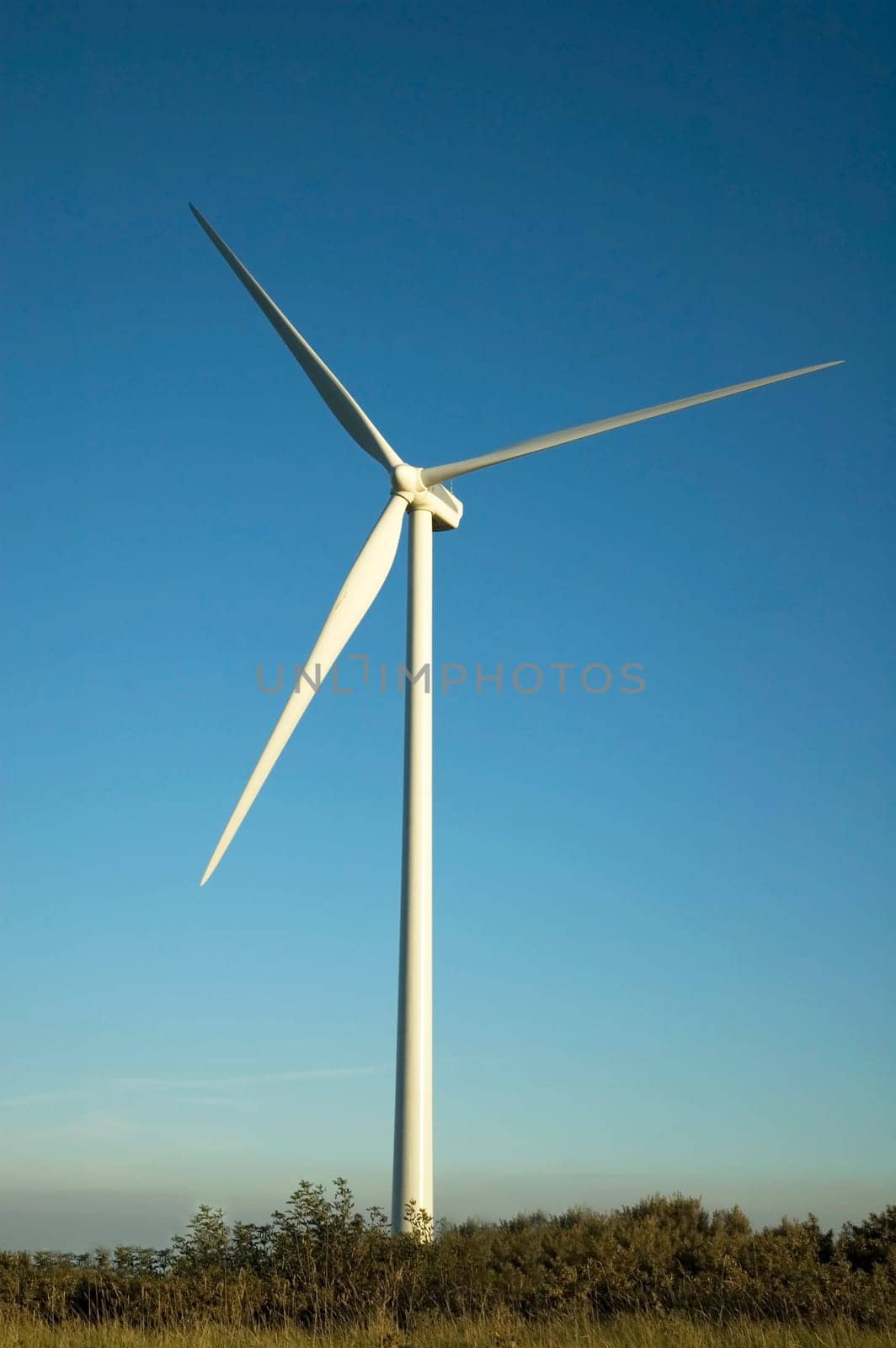 Windmill in front of a blue sky.