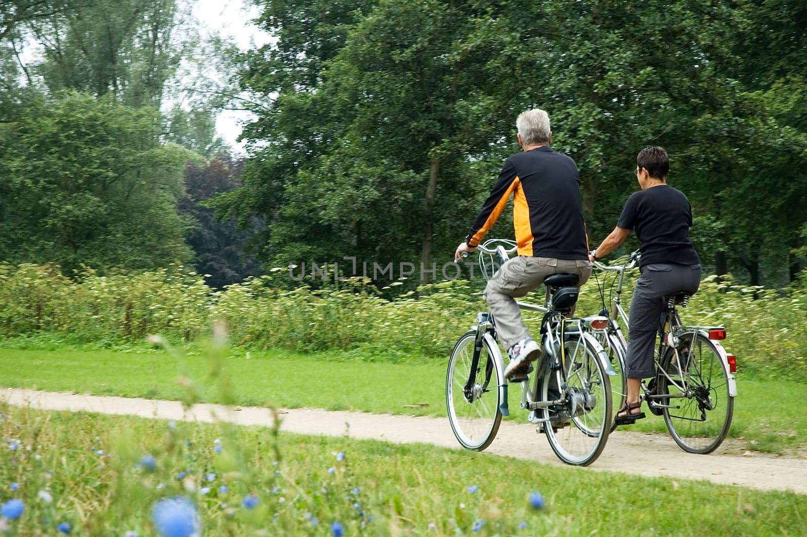 Active seniors biking in the park, from behind.